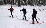 Puchar świata w Jakuszycach. Pokonaj trasę, którą pobiegnie Justyna Kowalczyk (ZDJĘCIA) 