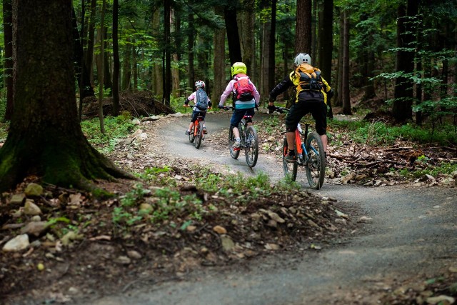 Singletracki to wąskie, zazwyczaj jednokierunkowe, kręte ścieżki rowerowe, wijące się pomiędzy drzewami, z odpowiednio wyprofilowanymi zakrętami, pozwalające przemieszczać się rowerem w bezpośredniej bliskości przyrody