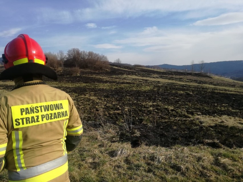 Powiat myślenicki. Płoną trawy. Tym razem nie obyło się bez poszkodowanego 