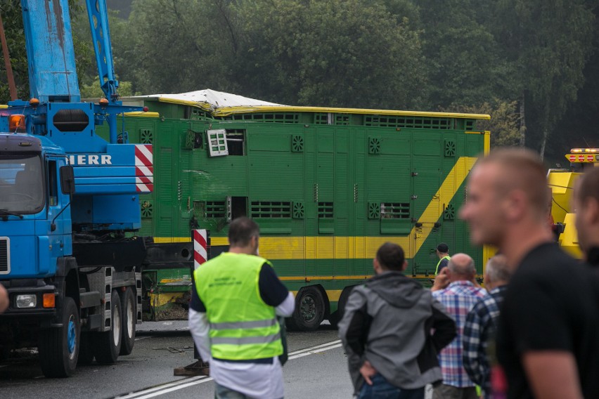 Wypadek w Bochni na DK 94. Nie żyją dwie osoby [ZDJĘCIA, WIDEO]