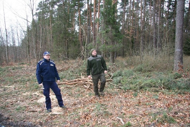 Policjanci i strażnicy chcą odstraszać nie tylko złodziei choinek, ale także kłusowników, osoby wywożące tu śmieci oraz klientów prostytutek.