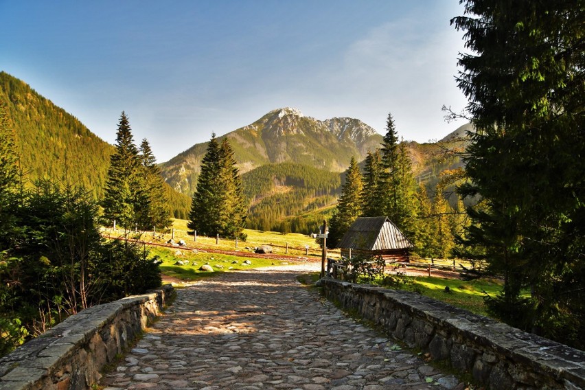 Tatry. Urokliwa Dolina Chochołowska w jesiennych barwach. Warto zobaczyć to miejsce o tej porze roku 