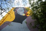 Efektowne murale na Pomorzanach zachwycają szczecinian