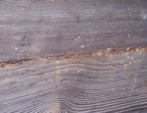 Korozja drewna budowlanego