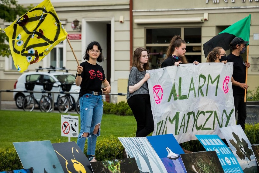 Młodzieżowy Strajk Klimatyczny w Bydgoszczy