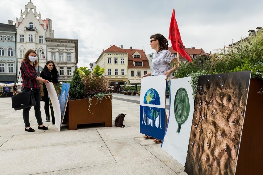 Młodzieżowy Strajk Klimatyczny w Bydgoszczy