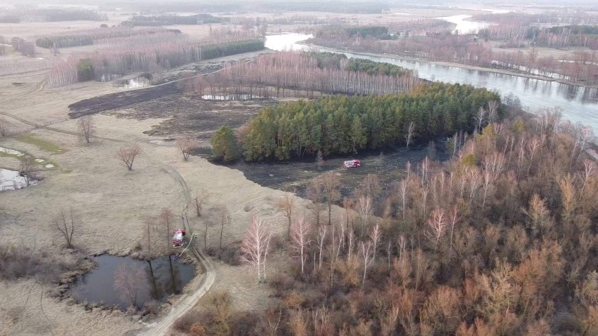 Powiat ostrołęcki. Pożary traw i lasów. Sytuacja jest bardzo poważna. Strażacy mają mnóstwo pracy. 23.03.2022. Zdjęcia