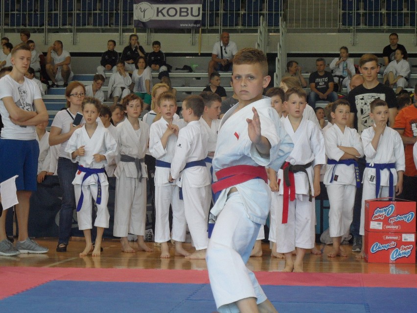 Bytom: Silesia Cup 2016 karate w Hali na Skarpie