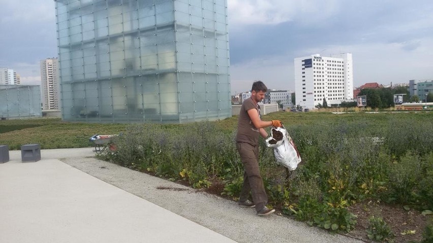 Ostatnie przygotowania przed otwarciem Muzeum Śląskiego