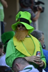 Podsumowanie kibiców na Euro 2012: Irlandia