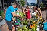 Bielsko-Biała: Fundacja Arka rozdawała rośliny na placu Bolka i Lolka. „Wodę można posadzić”