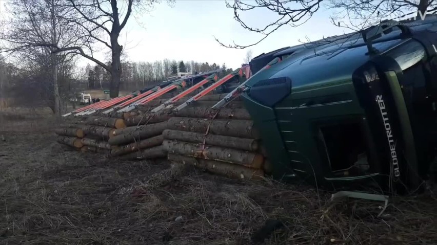 Ciężarówka z drewnem przewróciła się do rowu [FILM]