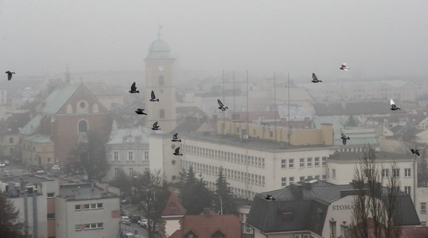 Smog i gęsta mgła nad Rzeszowem. Kolejny dzień wskaźniki...