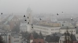 Smog i gęsta mgła nad Rzeszowem. Wskaźniki czystości powietrza wskazywały wysoki stopień zanieczyszczenia [ZDJĘCIA]