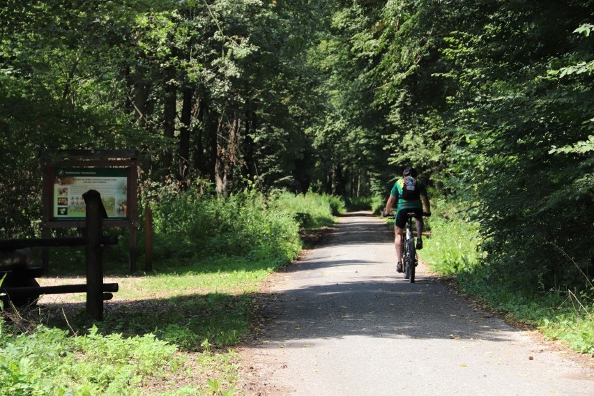 Powstają kolejne odcinki trasy rowerowej VeloRudawa....