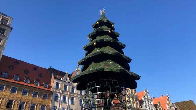 Oficjalna iluminacja choinki odbędzie się 6 grudnia. To wydarzenie  zazwyczaj przyciąga tłumy.