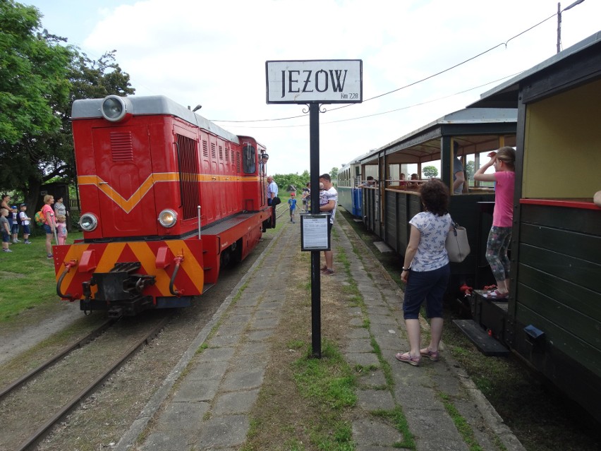 Kolejowy Dzień Dziecka w Rogowie. Piknik z koleją wąskotorową