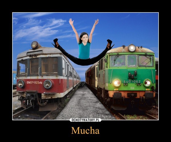 Joanna Mucha dziwi się pociągom. Internet kpi [KOMENTARZE, ZDJĘCIA]