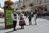11 lipca startują Międzynarodowe Spotkania Folklorystyczne Lublin - Nałęczów - Włodawa