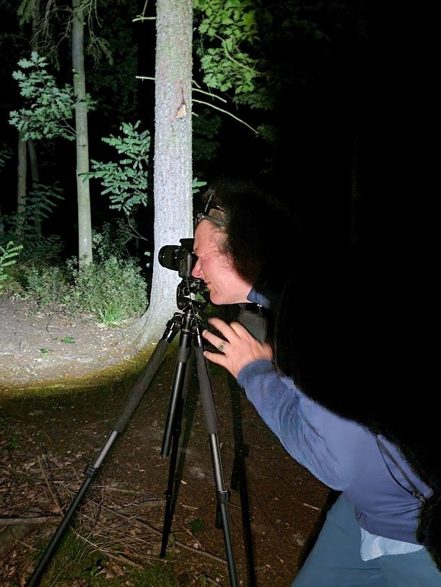 Pałac w Kopicach w obiektywie francuskiego fotografika Yanna Toma. Kalendarz ma pomóc w odbudowie zabytku