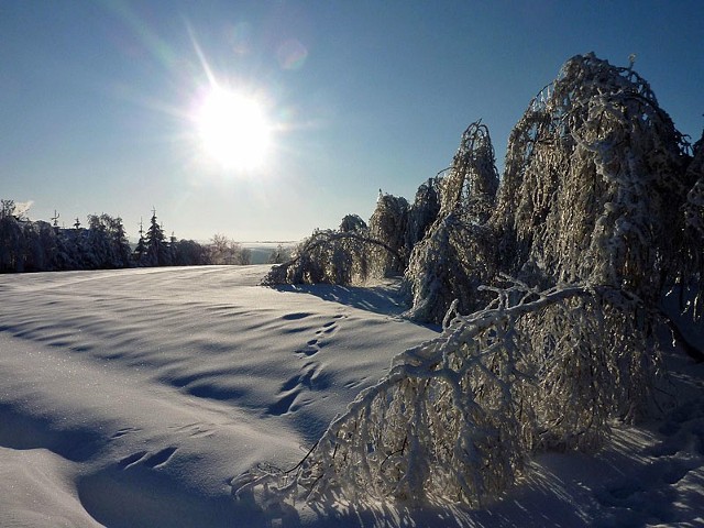 Zima w HusowieZima w Husowie (pow. lancucki). Zdjecia nadeslane przez Internaute.