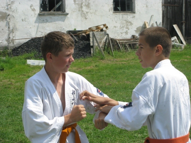 Karatecy na obozie w Zielonym Lesie