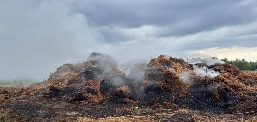 Duży pożar balotów trzciny w gminie Fałków [ZDJĘCIA]