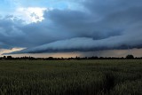 "Nad burzą nie mamy żadnej władzy". Ekspert o letnich zjawiskach atmosferycznych w Polsce: - To nic nadzwyczajnego