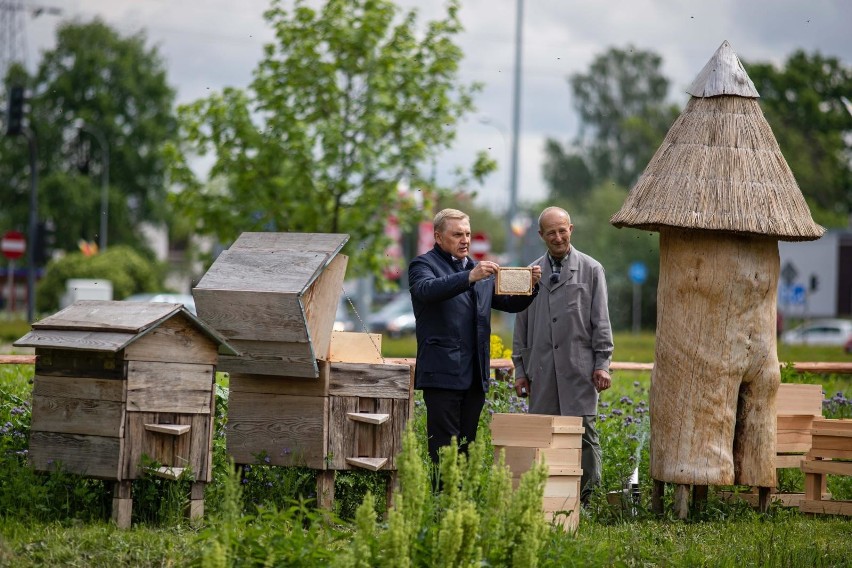 03-06-2020 Tak było na miodobraniu w miejskiej pasiece