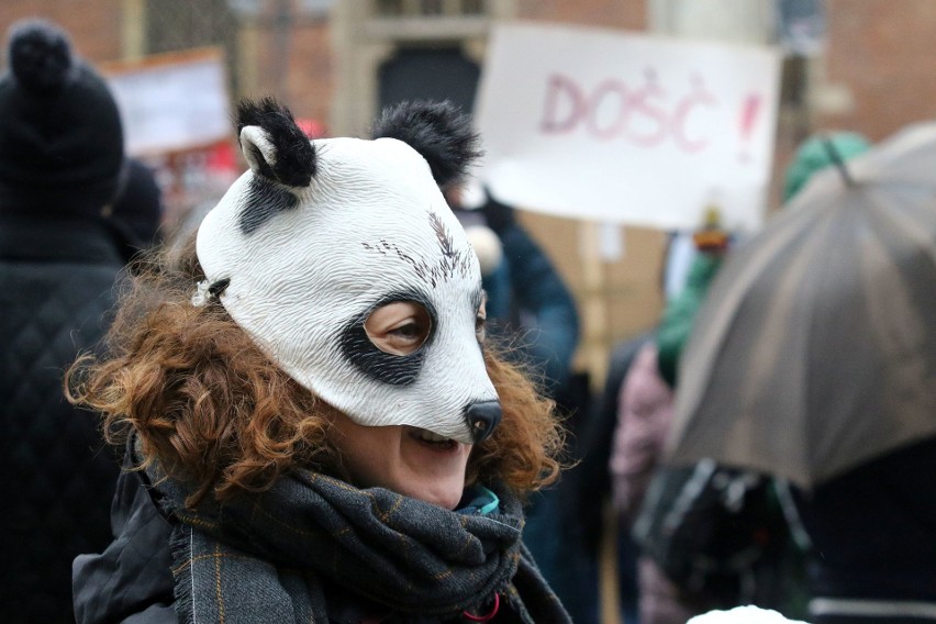 "Sto lat, niech ryją, ryją nam!" We Wrocławiu odbył się protest w obronie dzików (FILM, ZDJĘCIA)