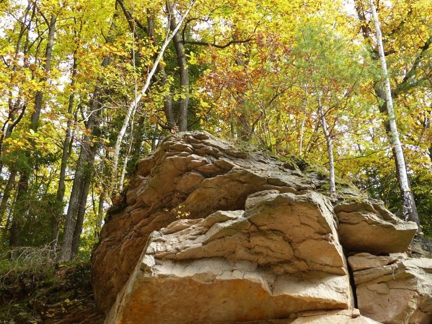 Oczy Ziemi, czyli Kamieniołom Gębury, jesienią wyglądają pięknie. Można do nich dotrzeć kilkoma trasami [ZDJĘCIA]