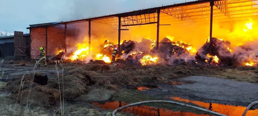 Berkowo. Wielki pożar zabudowań rolniczych. Płonęły bele słomy (zdjęcia)