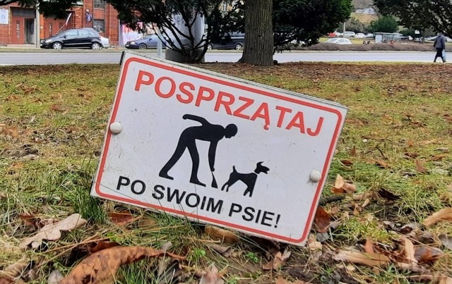 W Tucholi znajdą się też tabliczki przypominające o obowiązku sprzątania po swoim psie