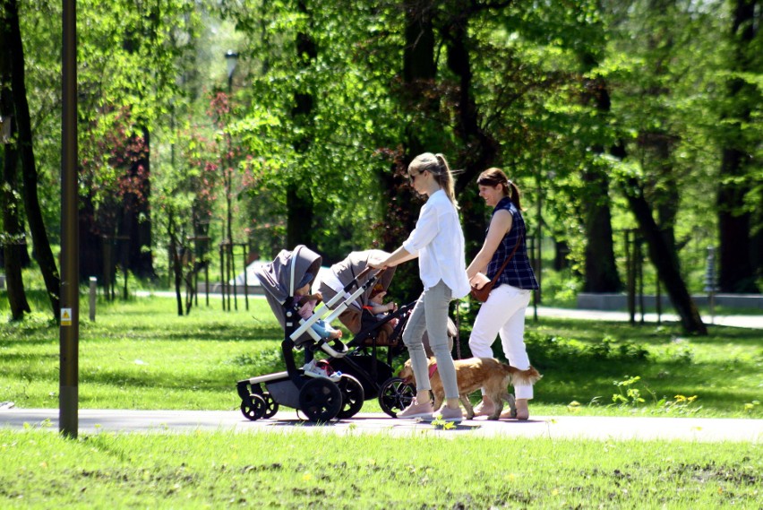 Odpoczynek wśród zieleni w parku Ludowym w Lublinie. Zobacz słoneczne zdjęcia