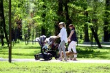 Odpoczynek wśród zieleni w parku Ludowym w Lublinie. Zobacz słoneczne zdjęcia