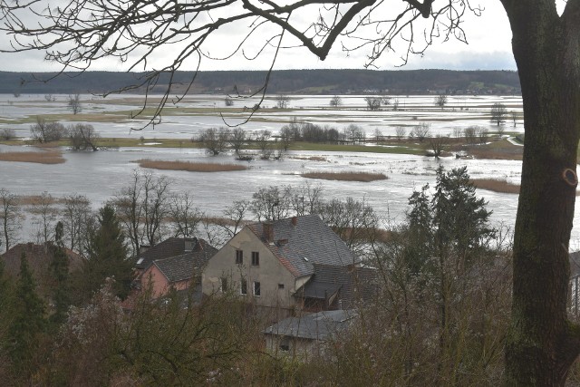 Tak obecnie wygląda Odra w Krośnie Odrzańskim. Poziom wody w rzece znacznie wzrósł.