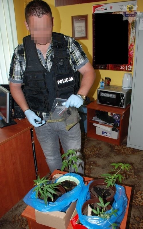 Policjanci znaleźli marihuanę w mieszkaniu w Ustce.
