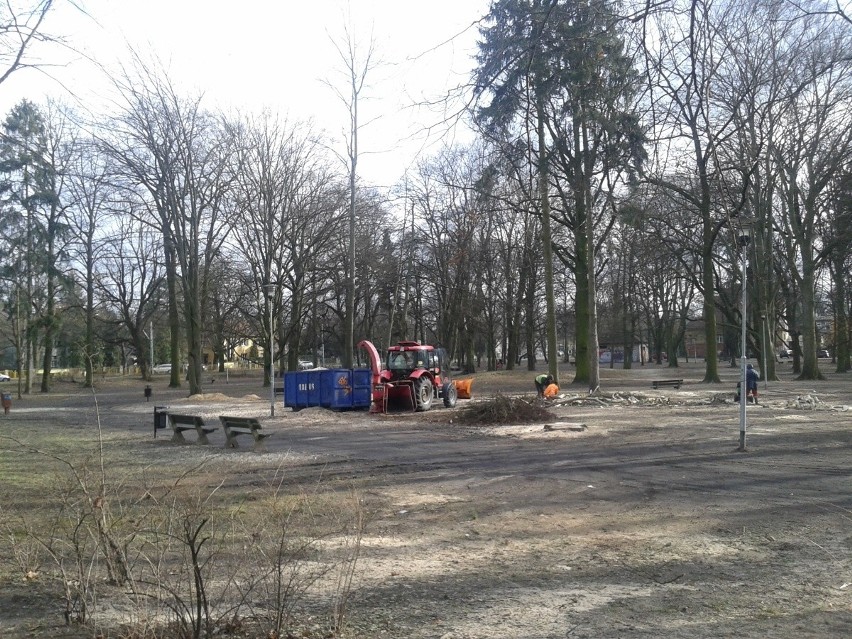 W parku Łyczywka wycinają zieleń, by później było piekniej