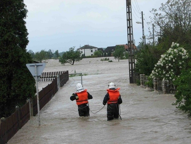 Ocieplający się klimat sprawia, że poziom wody w oceanach...