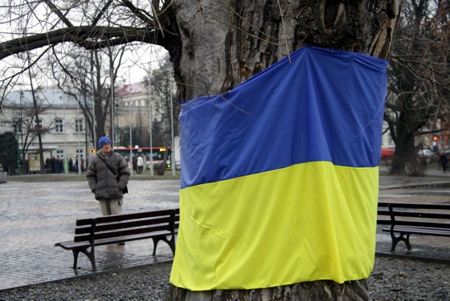 Na znak solidarności z Ukrainą w środę lubelscy animatorzy kultury obwiązali flagą ukraińską pień baobabu