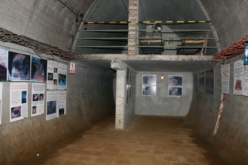 Pomieszczenia koszarowe pod bunkrem 717