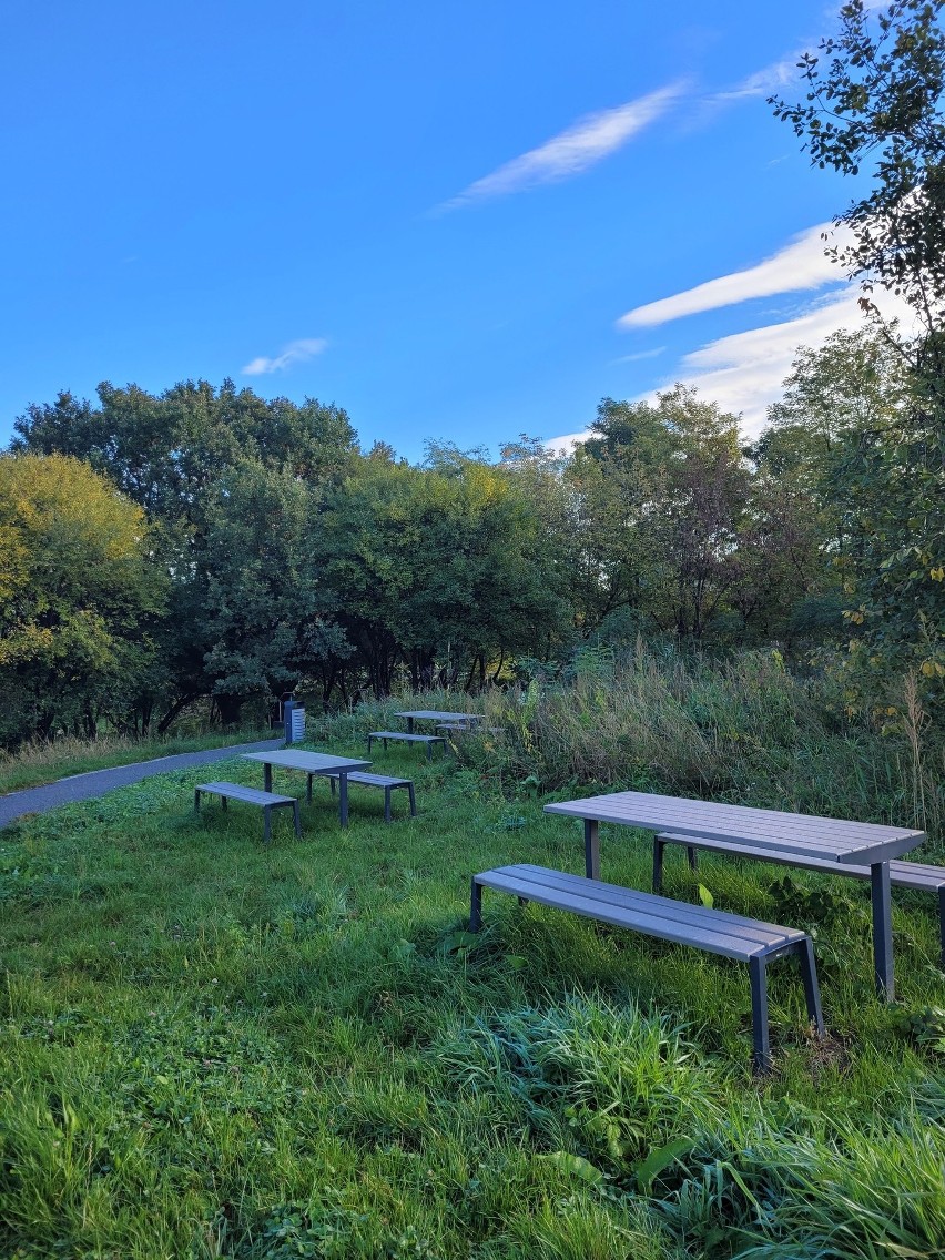 Kraków. Park w Łagiewnikach staje się dużo lepszy dla mieszkańców