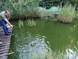 W Bytomiu przy ulicy ulicy Szyby Rycerskie powstały zbiorniki wodne, które tworzą naturalną "stołówkę" dla zwierząt