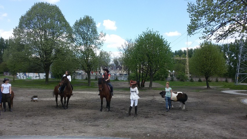 Sosnowiec: ogród polisensoryczny otwarty po II etapie budowy [ZDJĘCIA]