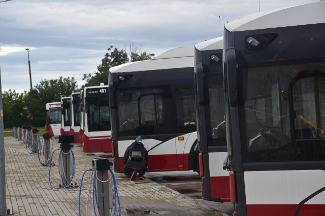 Nowo dostarczone pojazdy obsłużą trasy linii autobusowych: 5, 9 i 13.
