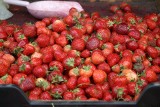 Jak sadzić truskawki, żeby zebrać obfite plony? Sadzenie truskawek, malin, borówek i jeżyn. Kalendarium ogrodnika