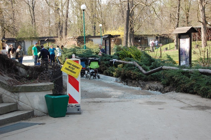 Zoo to wielki plac budowy. Dlaczego więc bilety są tak drogie? (ZDJĘCIA)