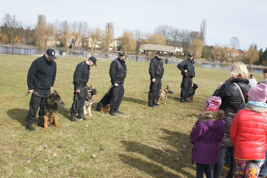 Szkolenie przewodników psów policyjnych na bulwarach (zdjęcia)