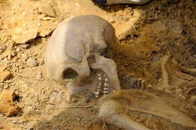 Od początku prac ekshumacyjnych archeolodzy zlokalizowali na terenie dawnego ogrodu więziennego ponad 40 jam grobowych