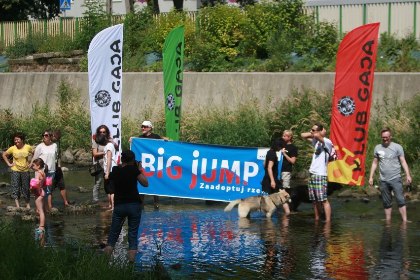 Big Jump 2016 w Bielsku-Białej